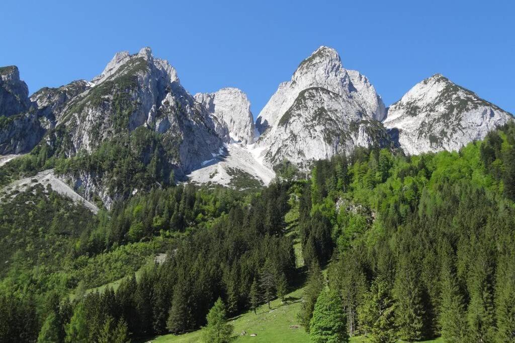 Das Almsternderl - Gemuetliche Wohnung In Gosau Exteriör bild