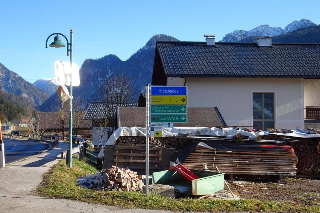 Das Almsternderl - Gemuetliche Wohnung In Gosau Exteriör bild