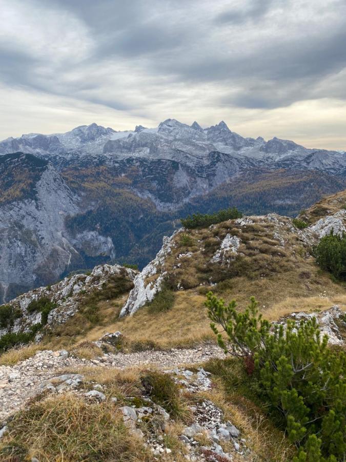 Das Almsternderl - Gemuetliche Wohnung In Gosau Exteriör bild