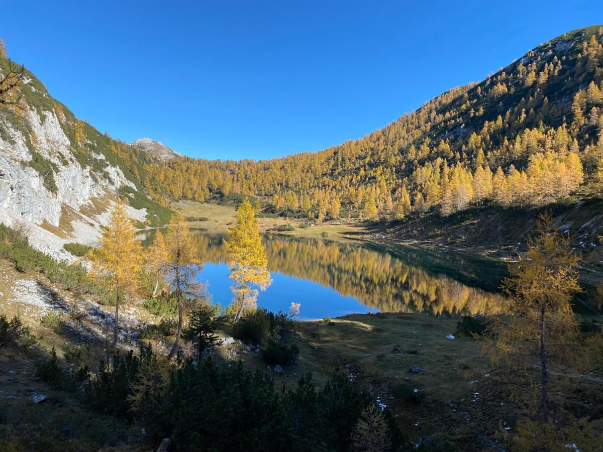 Das Almsternderl - Gemuetliche Wohnung In Gosau Exteriör bild