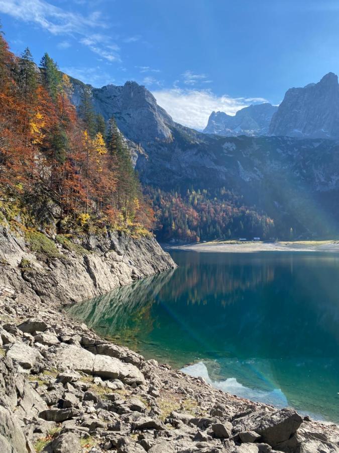 Das Almsternderl - Gemuetliche Wohnung In Gosau Exteriör bild