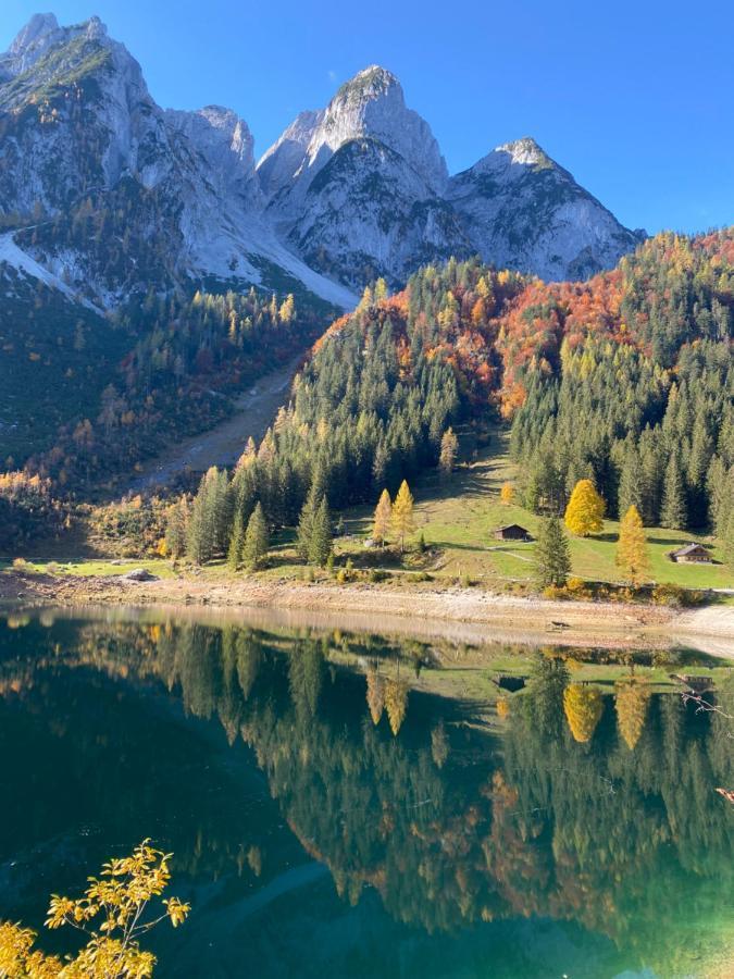 Das Almsternderl - Gemuetliche Wohnung In Gosau Exteriör bild