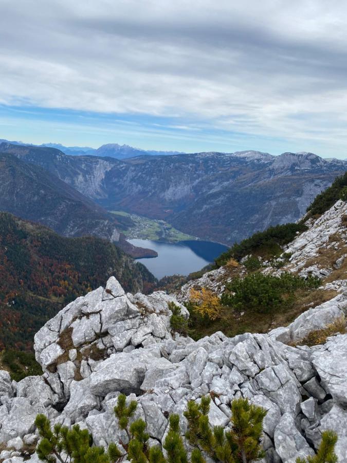 Das Almsternderl - Gemuetliche Wohnung In Gosau Exteriör bild