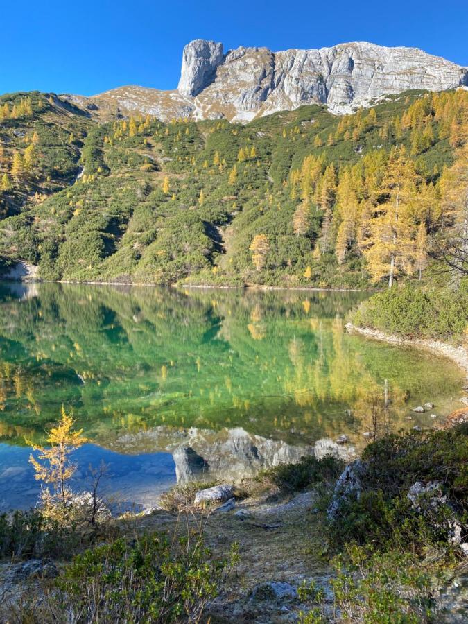 Das Almsternderl - Gemuetliche Wohnung In Gosau Exteriör bild