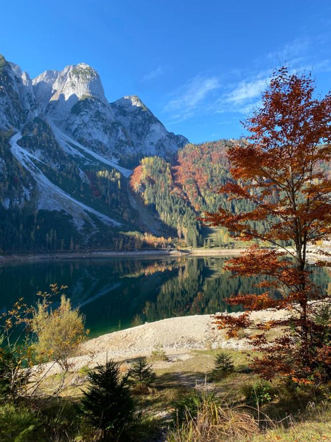 Das Almsternderl - Gemuetliche Wohnung In Gosau Exteriör bild